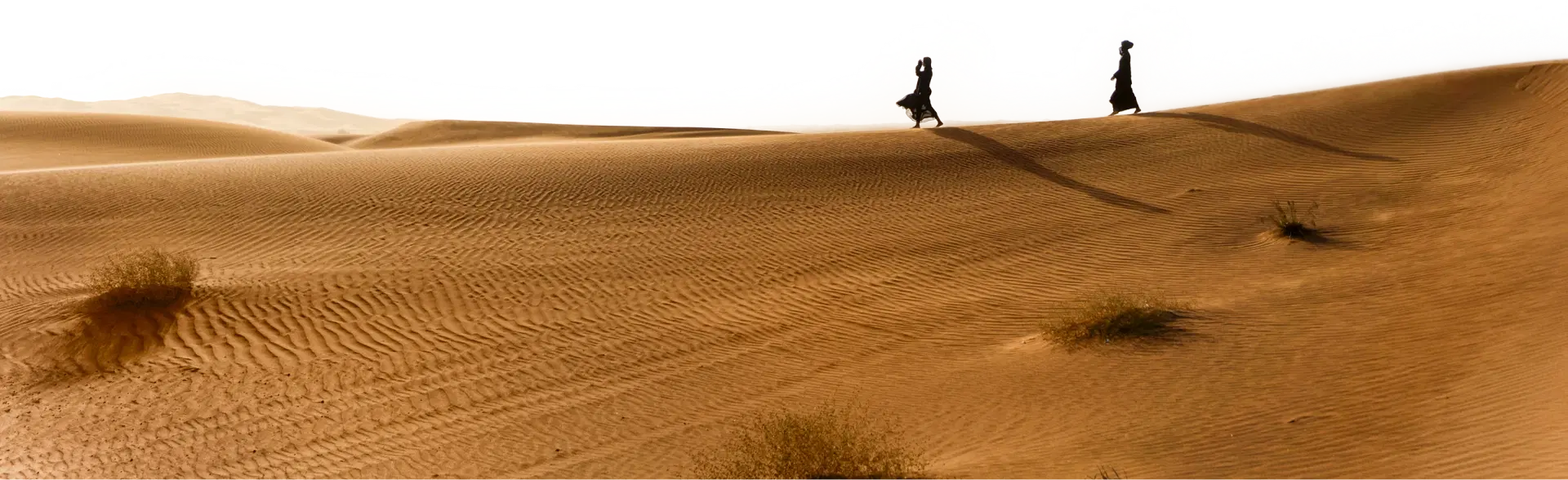 Desert Landscape