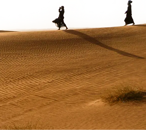 Desert Landscape Mobile