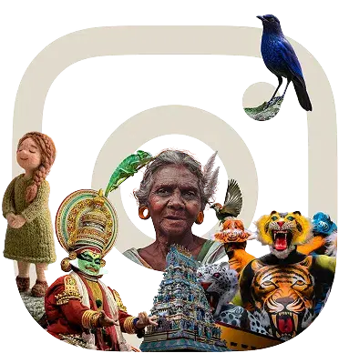 Instagram Showcase