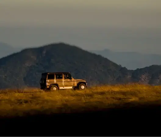 The road less travelled