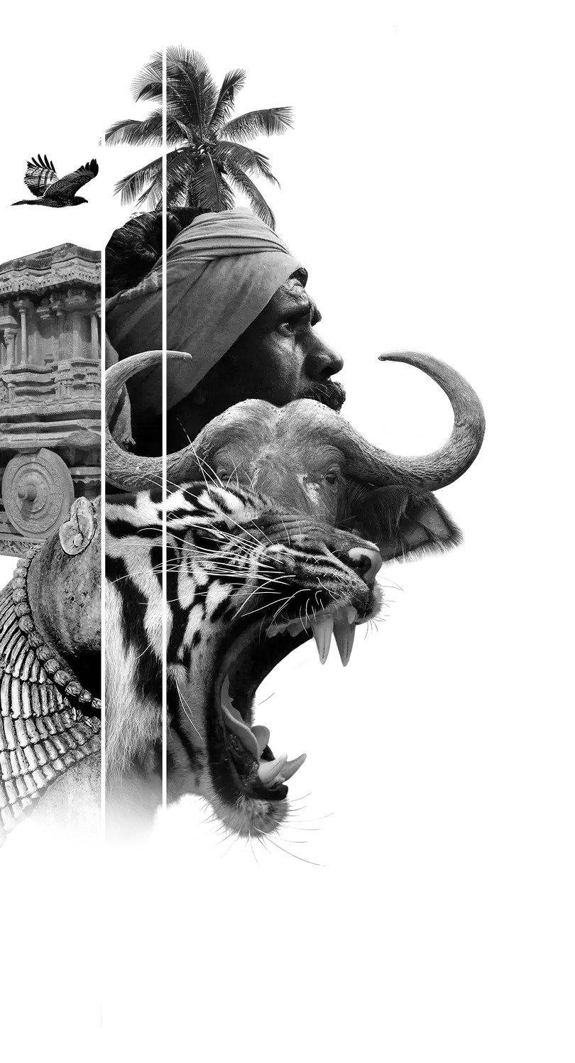 home-banner-left-img